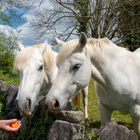 Luxury Galway