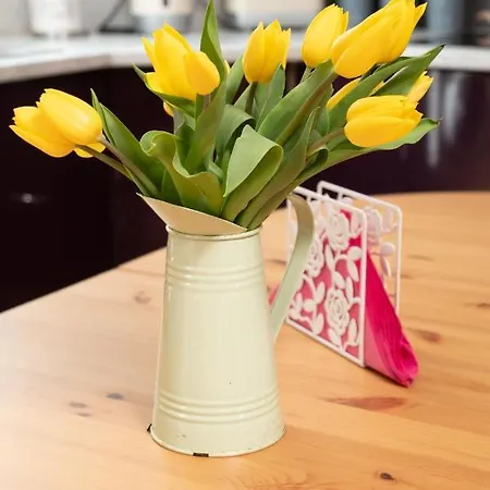 Apartament Luxury Apartment, Galway